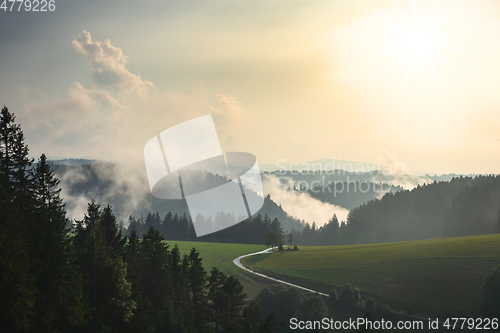 Image of misty landscape with trees