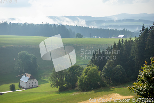 Image of misty landscape with trees