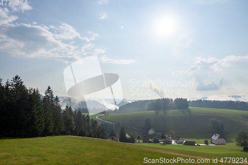 Image of misty landscape with trees