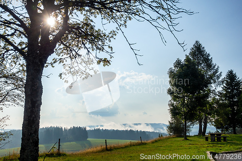 Image of misty landscape with sunshine through trees