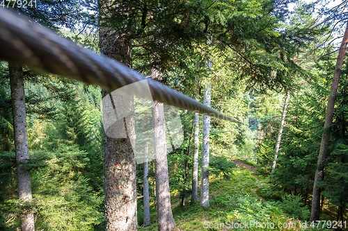 Image of zipline in the black forest germany