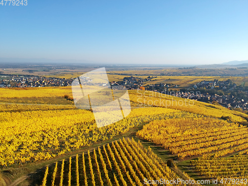 Image of flight over vineyard Alsace France