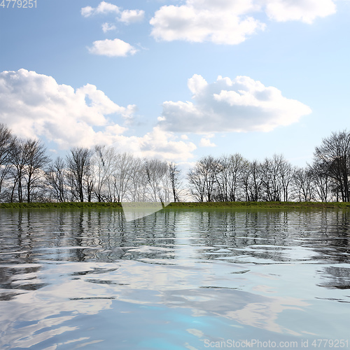 Image of some trees at the lake