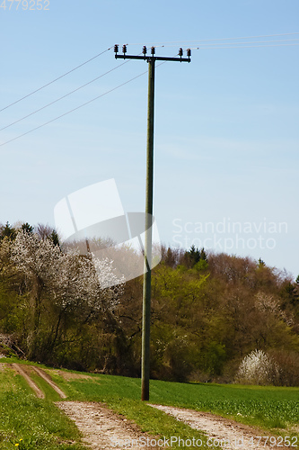 Image of old wooden power pole