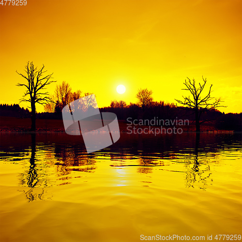 Image of sunset scenery lake and trees