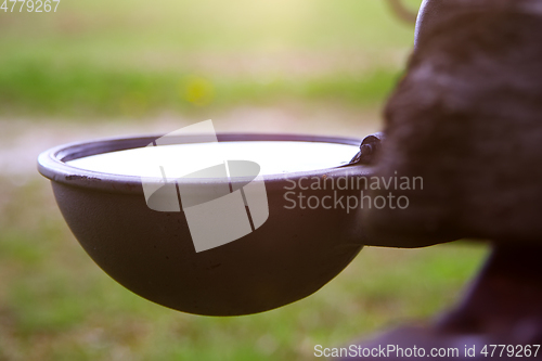 Image of livestock watering