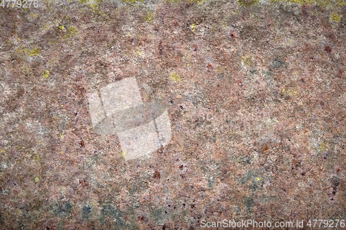 Image of stone texture lichen