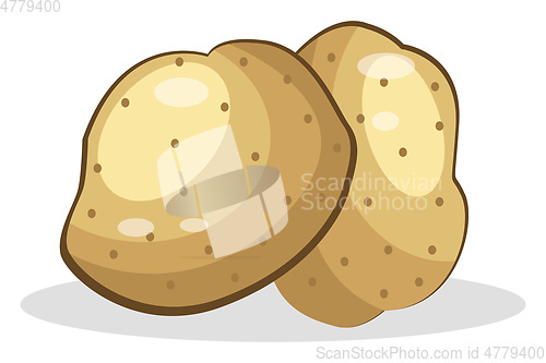 Image of Potato vector color illustration.