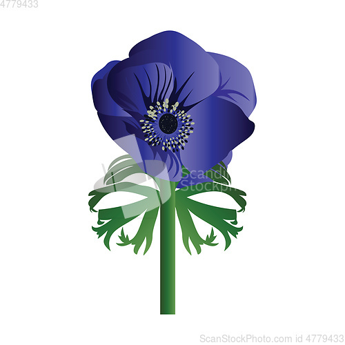 Image of Vector illustration of anemone flower on white background.