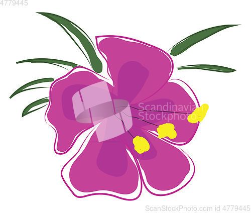 Image of Pink orchid flower with yellow pestle and green leaves vector il