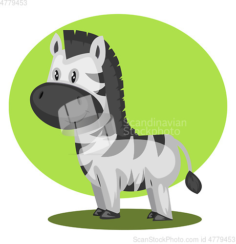 Image of White Horse, vector color illustration.