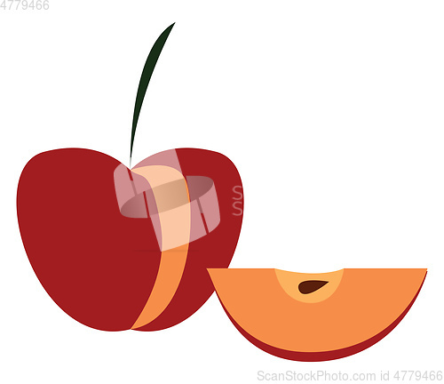 Image of Red apple with a slice illustration print vector on white backgr