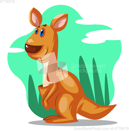 Image of Kangaroo, vector color illustration.