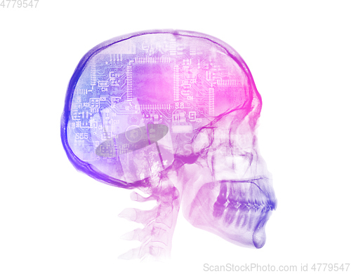 Image of Human skull X-ray image. Artificial intelligence concept