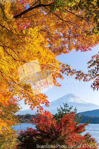 Image of Mountain Fuji in autumn season