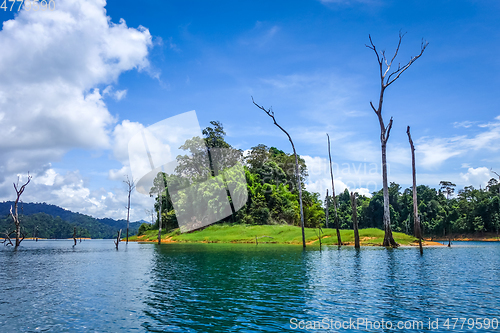 Image of Cheow Lan Lake, Khao Sok National Park, Thailand