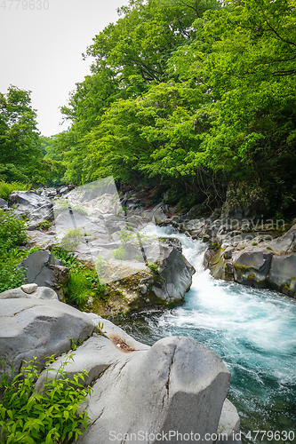 Image of Kanmangafuchi abyss, Nikko, Japan