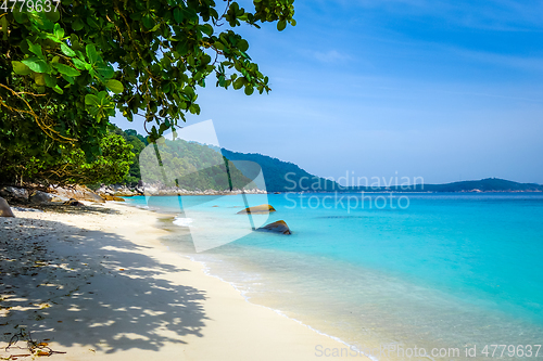 Image of Turtle Beach, Perhentian Islands, Terengganu, Malaysia