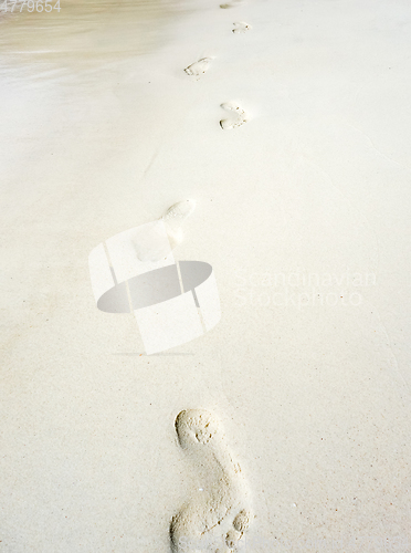 Image of footprints on a tropical beach