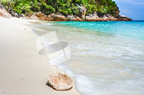 Image of Coral on a beach, Perhentian Islands, Malaysia