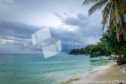 Image of Tropical beach in Koh Lipe, Thailand