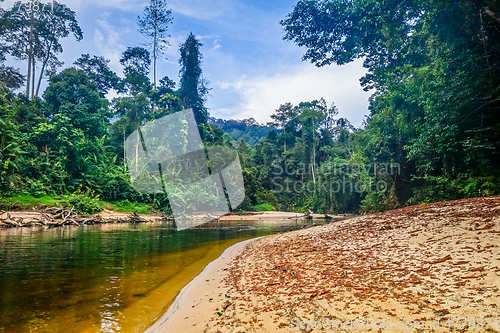Image of River in Jungle rainforest Taman Negara national park, Malaysia