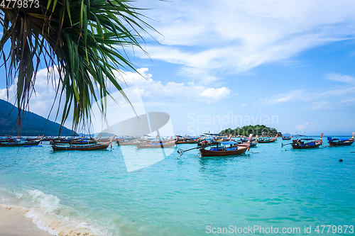 Image of Tropical beach in Koh Lipe, Thailand