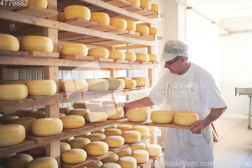 Image of Cheese maker at the storage with shelves full of cow and goat cheese