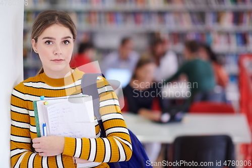 Image of the student uses a notebook and a school library