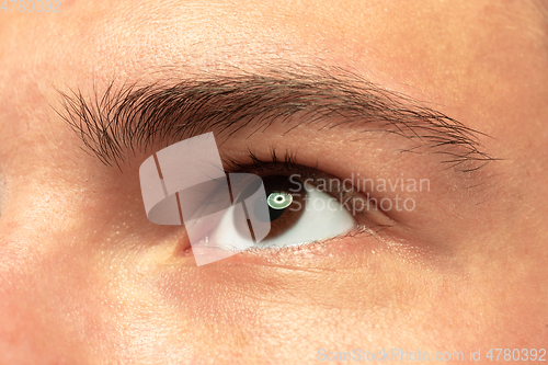 Image of Caucasian young man\'s close up shot on green background