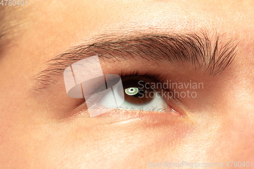 Image of Caucasian young man\'s close up shot on green background