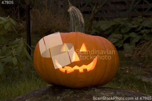 Image of Pumpkin Halloween