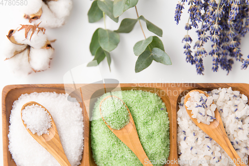Image of sea salt with wooden spoons and herbs