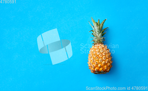 Image of close up of pineapple on blue background