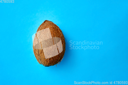 Image of close up of ripe coconut on blue background