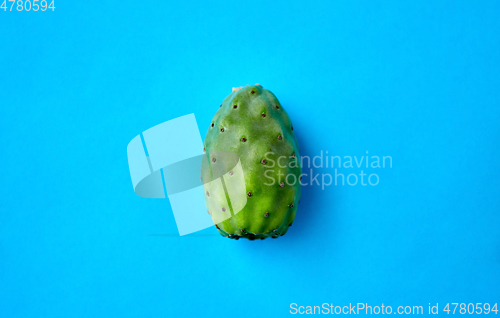 Image of cactus fruit or prickly pear on blue background