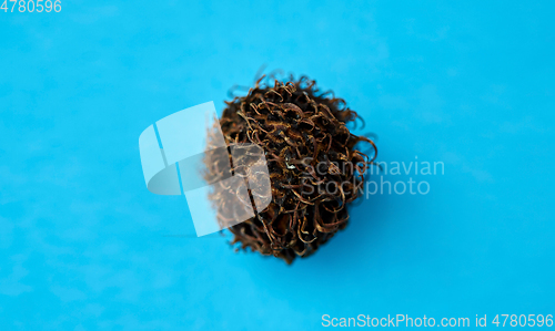 Image of rambutan fruit on blue background