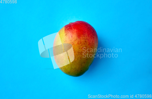 Image of close up of ripe mango on blue background