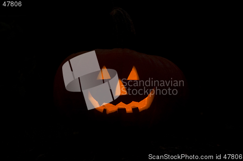 Image of Dark pumpkin