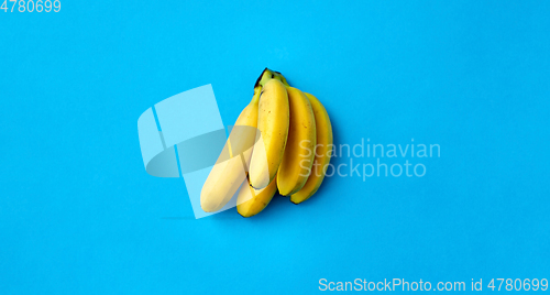 Image of close up of ripe banana bunch on blue background