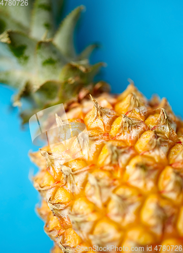 Image of close up of pineapple on blue background