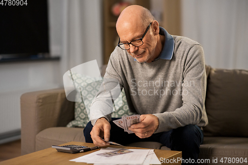 Image of senior man counting money at home