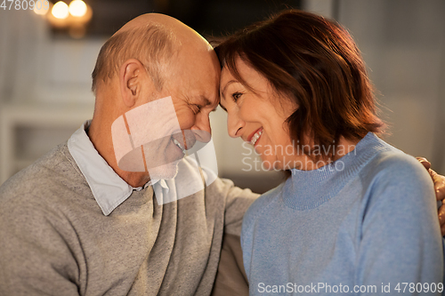 Image of happy smiling senior couple at home