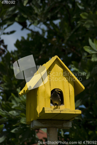 Image of Birdhouse with bird