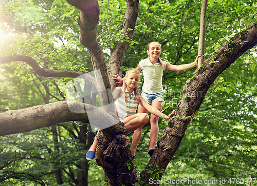 Image of two happy girls climbing up tree in summer park