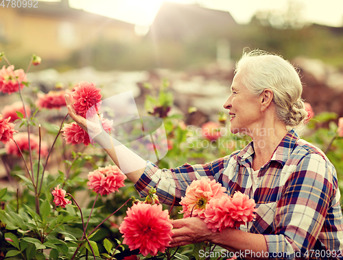 Image of senior woman with flowers at summer garden