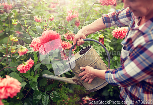 Image of senior woman watering flowers at summer garden