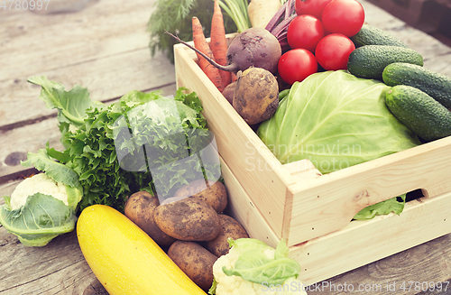 Image of close up of vegetables on farm