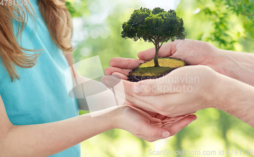 Image of close up of father's and girl's hands holding tree