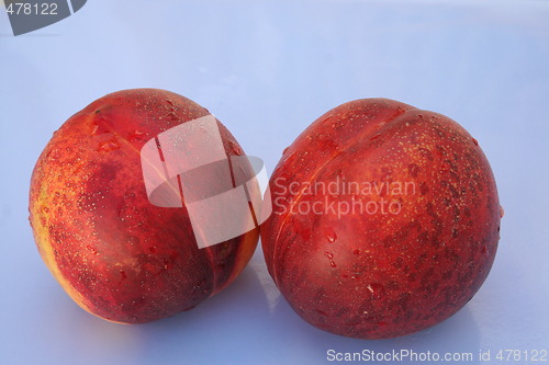 Image of Sweet nectarine